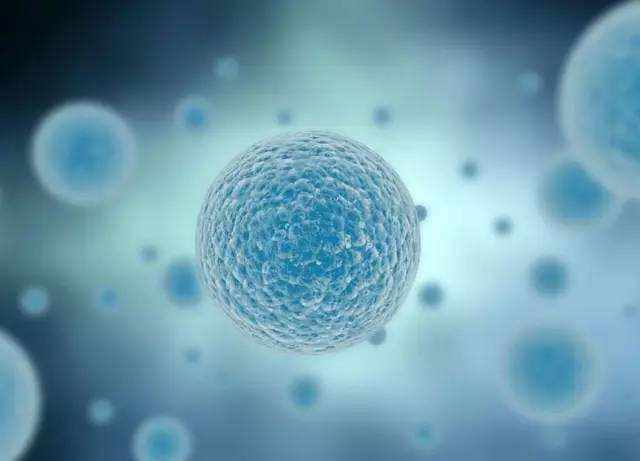 科技日报：干细胞抗癌大有前途