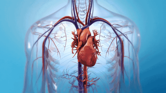 1.5千万名心脏病患者有望在干细胞移植治疗中康复