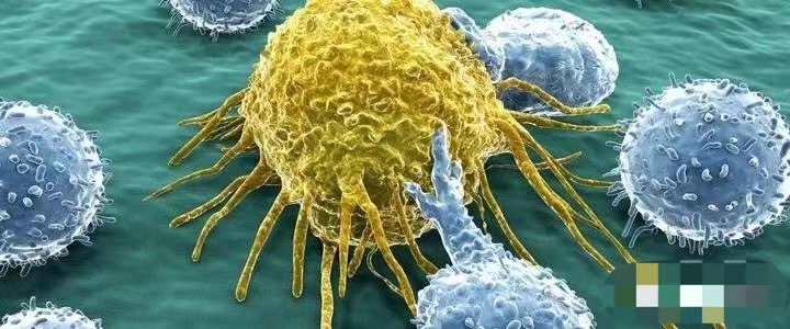 干细胞新疗法让精准抗癌不再是梦！