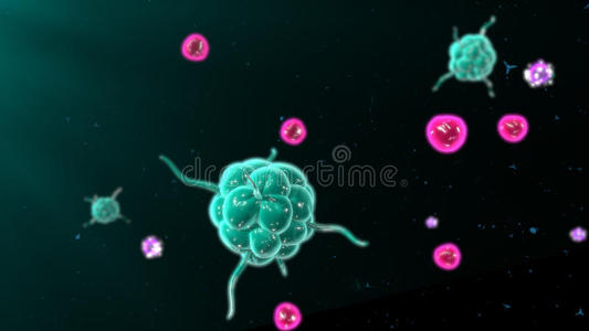 从《工作细胞》看癌细胞杀手——NK细胞